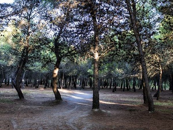 Villaggio Giardini dOriente - foto 20336.jpg