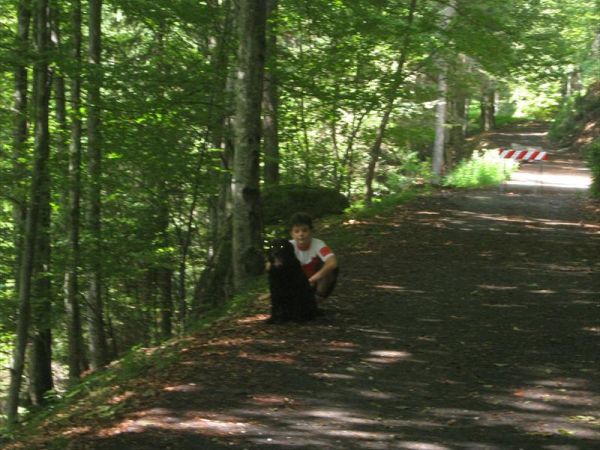 Maso Valfloriana - foto 20626.jpg