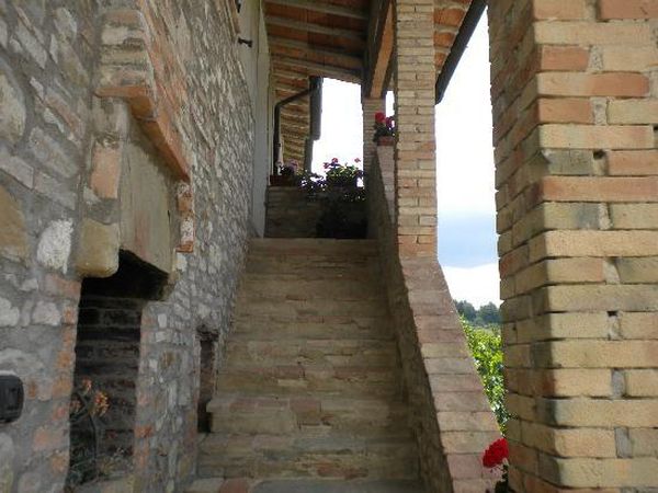 Fattoria di Rigone - foto 20821.jpg