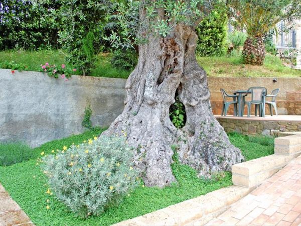 Madonna del Poggio - foto 20849.jpg