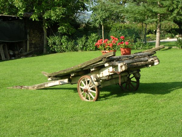 Fattoria di Rigone - foto 20860.jpg