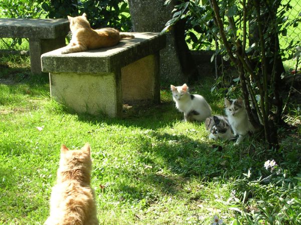 Fattoria di Rigone - foto 20861.jpg