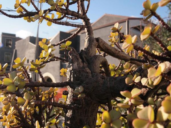 Dimora De Mauro - foto 20875.jpg