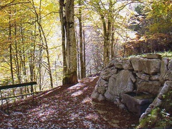 Park Camping Nevegal - foto 20931.jpg