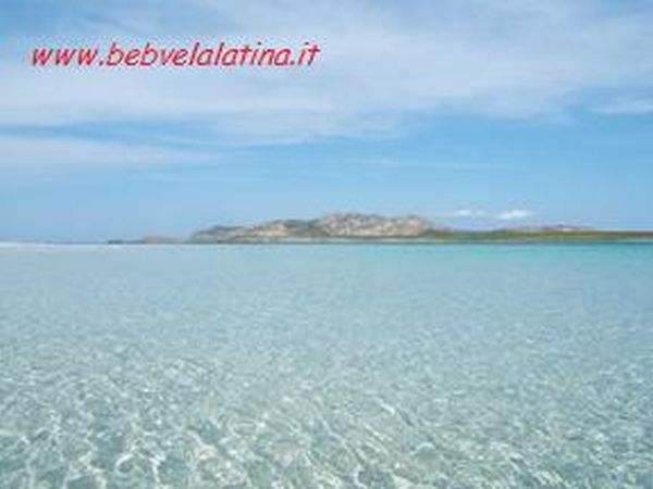 B&B la Vela Latina - foto 5380.jpg