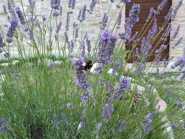 Agriturismo Domus Santa Croce - foto 20971.jpg