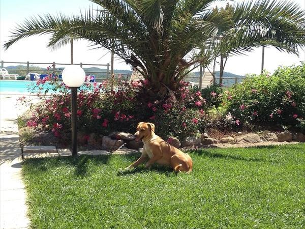 Borgo Campetroso - foto 21124.jpg