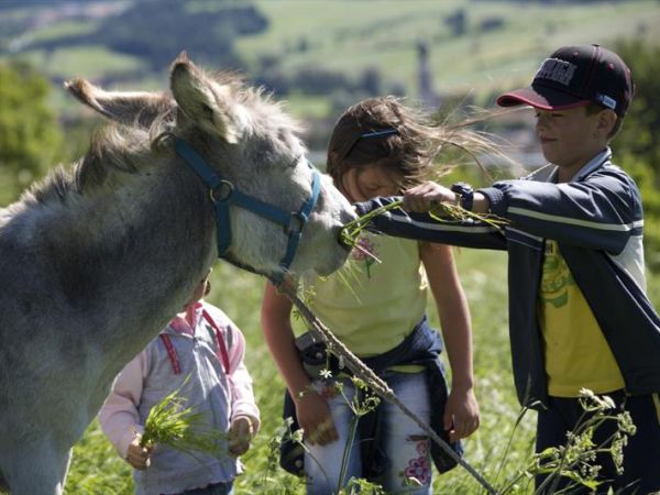 Residence Adamello Resort - foto 21246.jpg