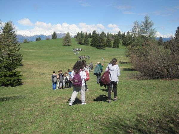 Hotel Rifugio Sores - foto 21474.jpg