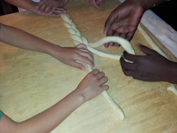 Fattoria Didattica Il Podere Agriturismo - foto 21755.jpg