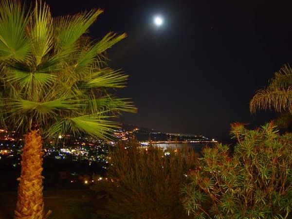 Villa Profumo dei Fiori - foto 21892.jpg