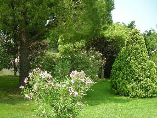 Villa Profumo dei Fiori - foto 21893.jpg