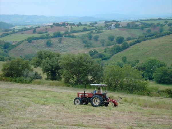 Agriturismo Montalto - foto 22316.jpg