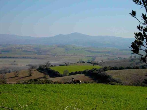 Agriturismo Montalto - foto 22322.jpg