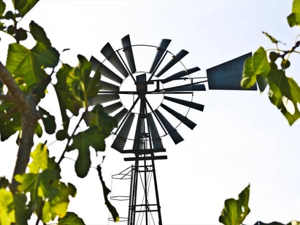 Agriturismo SS Annunziata - foto 22331.jpg