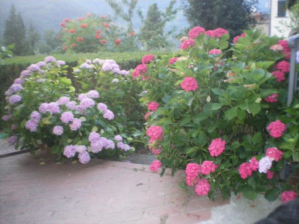 Agriturismo Le Fontanacce - foto 22343.jpg