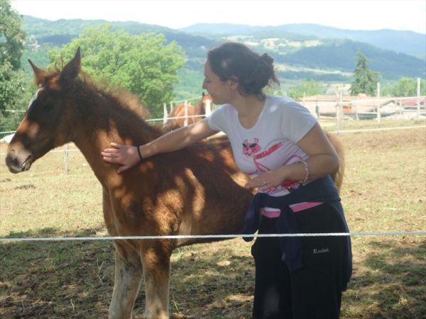 Agriturismo Lucatello  - foto 22430.jpg