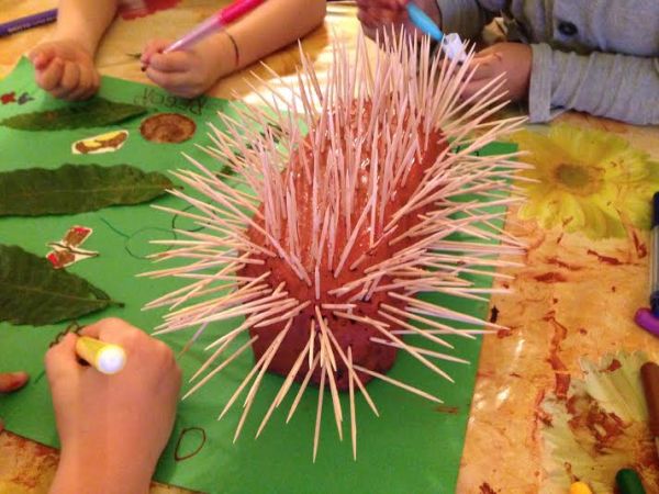 Agriturismo Le Vigne - foto 23048.jpg