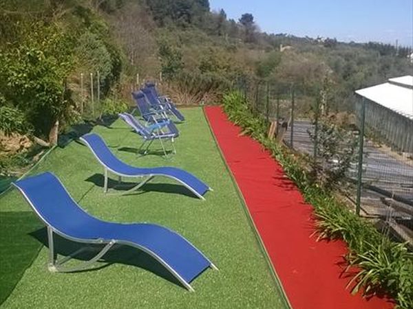 Agriturismo Le Collinette  - foto 23423.jpg