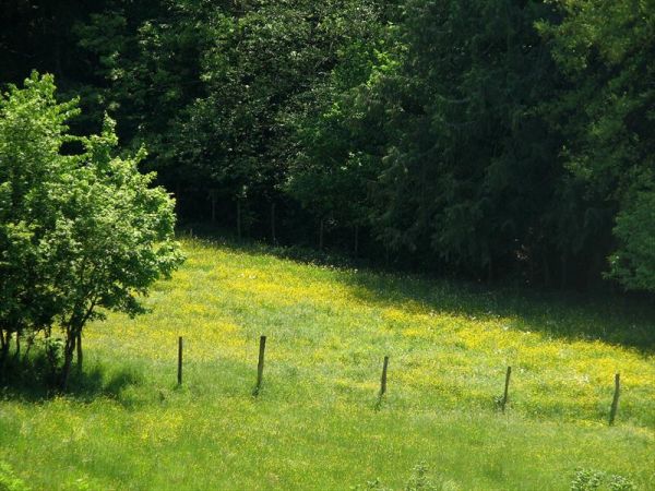 Fattoria di Marena - foto 23622.jpg