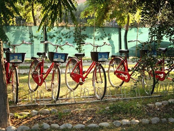 Pineto Beach Village & Camping - foto 23657.jpg