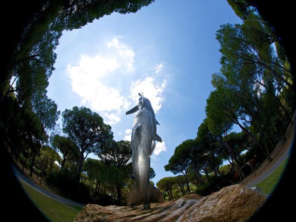 Cieloverde Camping Village - foto 24108.jpg