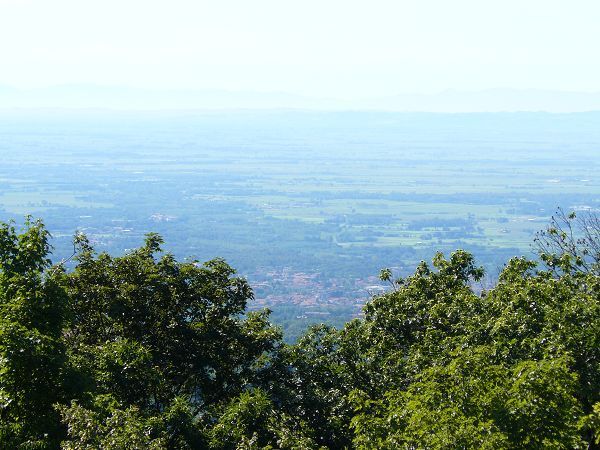 Castagneto - foto 6411.jpg