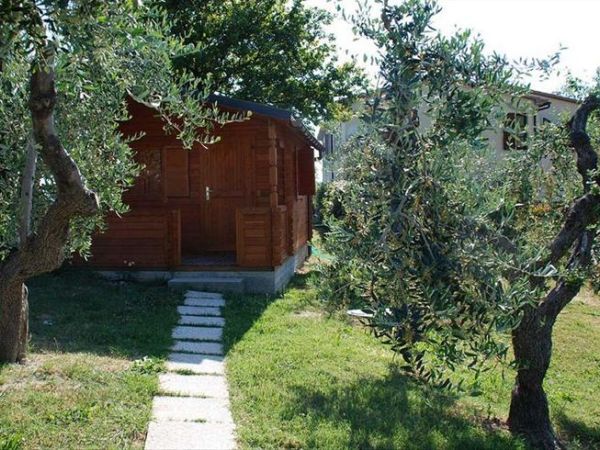 Agriturismo il Molinaccio Podere Cortesi - foto 24193.jpg