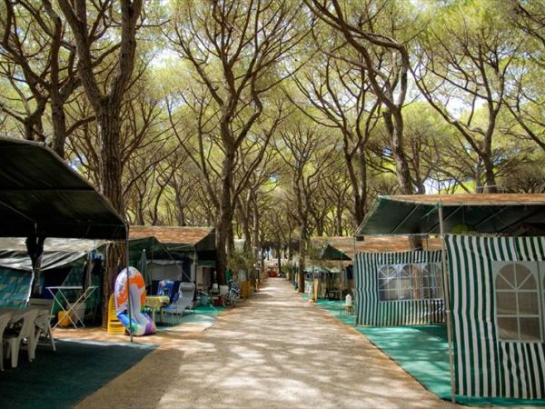 Camping Rosmarina - foto 24245.jpg