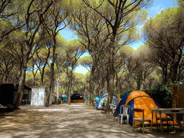 Camping Rosmarina - foto 24246.jpg
