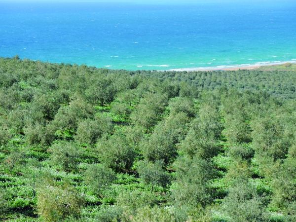 Villa Conca Marco - foto 24277.jpg