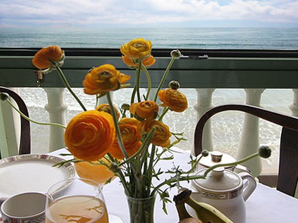 Hotel Badano Sul Mare  - foto 24383.jpg