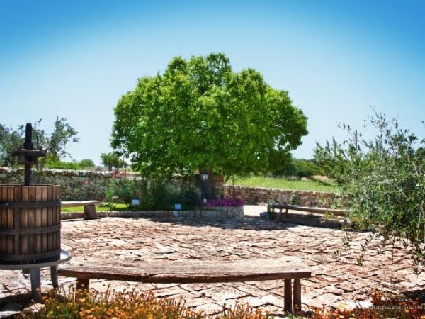 Trulli Il Castagno - foto 24576.jpg