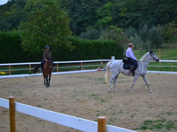 Agriturismo Podere Il Poggiolo - foto 24672.jpg