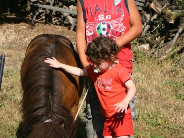 Agriturismo Podere Il Poggiolo - foto 24675.jpg