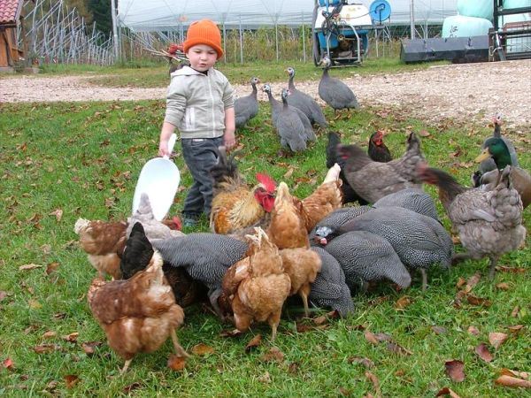 Agritur Dalaip Dei Pape - foto 24727.jpg