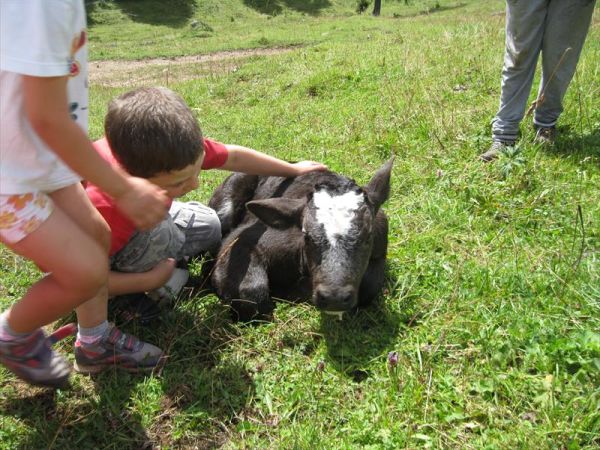 Agritur Dalaip Dei Pape - foto 24738.jpg