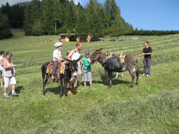 Agritur Dalaip Dei Pape - foto 24739.jpg