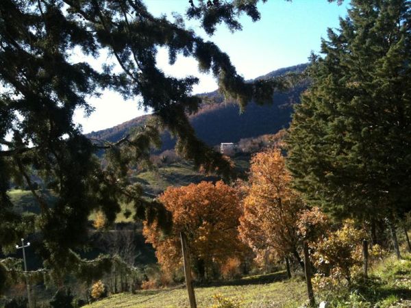 Il Fienile di Orazio - foto 24777.jpg