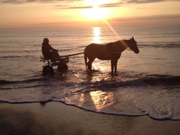Hotel Badano Sul Mare  - foto 24841.jpg