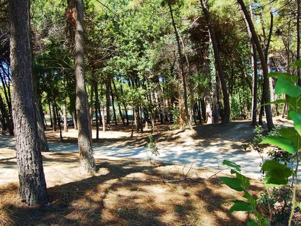 Hotel Matteo - foto 25011.jpg