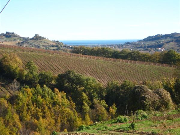 Agriturismo La Campana - foto 25095.jpg