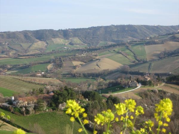 Agriturismo La Campana - foto 25104.jpg