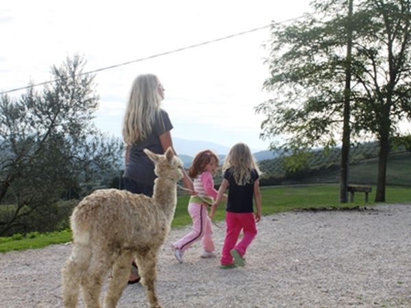 Agriturismo Maridiana Alpaca - foto 25162.jpg