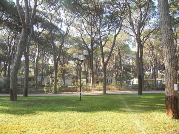 Le Marze - foto 25169.jpg