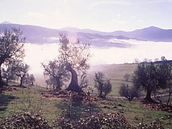 Agriturismo Maridiana Alpaca - foto 25253.jpg