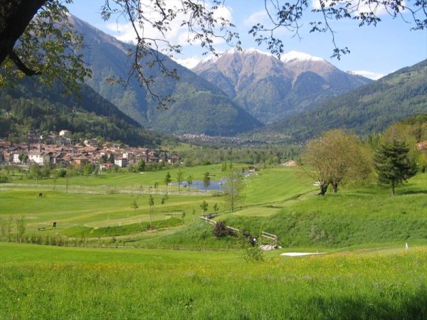 Rosa delle Dolomiti - foto 25323.jpg