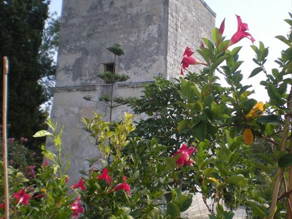 Masseria Lama - foto 25371.jpg