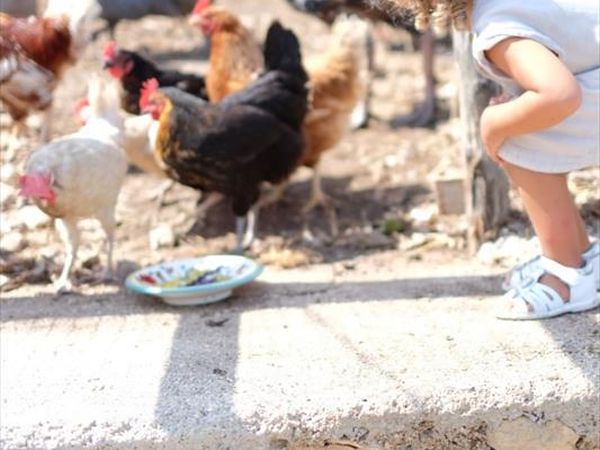 Villaggio Cala Molinella - foto 25484.jpg