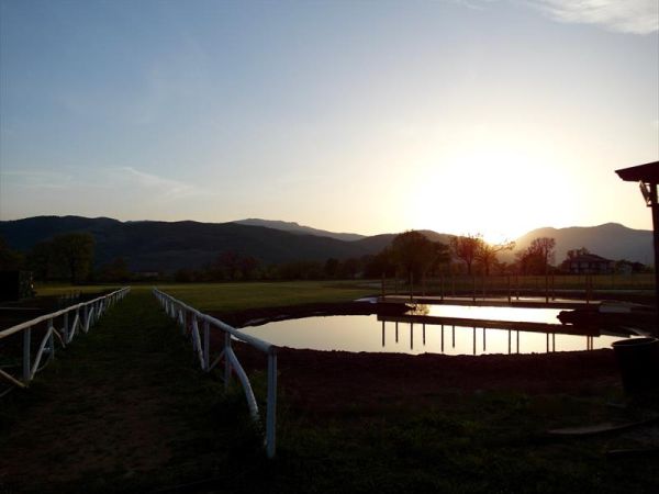 C del Conte Agrihouse - foto 25677.jpg